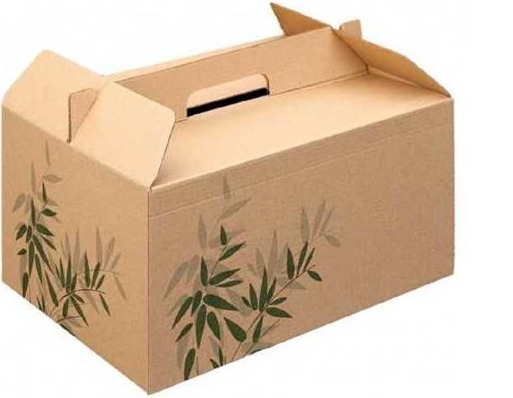 lunch-box-carton 04 2020